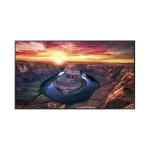 Pantalla Profesional