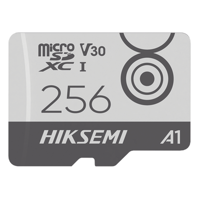 Tarjeta MicroSD / 256 GB / Lectura 100 MB/s / Escritura 90 MB/s / Clas